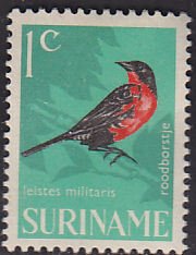 Surinam 323  Red-Breasted Blackbird 1966