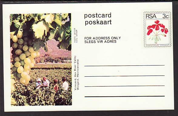 South Africa Flower Unused Postal Card 