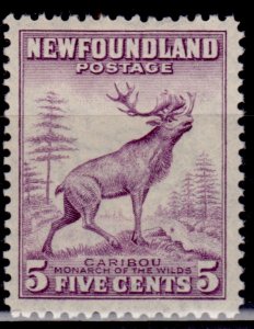 Newfoundland 1932-37, Caribou, 5c, sc#190, MLH