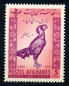 Afghanistan #567 Single MNH