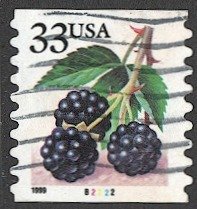 US Sc 3304 1999 Fruit Berries 33c PNC PL# B2222 Used Coil VF