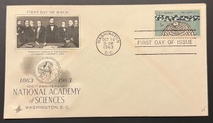 NATIONAL ACADEMY OF SCIENCES #1237 OCT 14 1963 WASHINGTON DC FIRST DAY COVER BX4