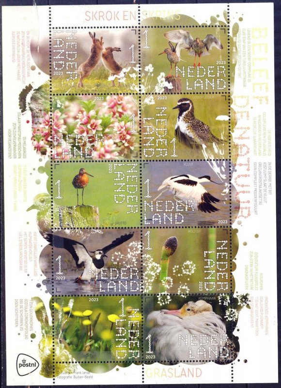 Netherlands 2023 Grassland Birds Plants Rabbits Sheet MNH