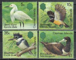 Cayman Islands Stamp 528-531  - Local birds