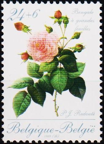 Belgium. 1989 24f+6f  S.G.2980 Unmounted Mint