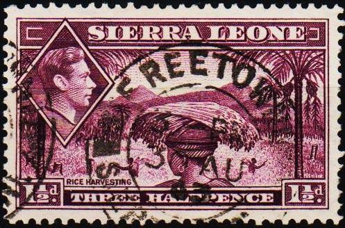 Sierra Leone. 1938 1 1/2d S.G.190a Fine Used