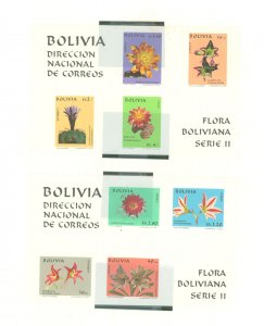 Bolivia #537a/537b Mint (NH) Souvenir Sheet