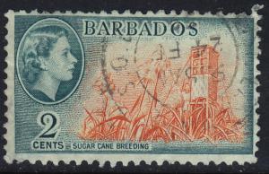 Barbados - 1953 - Scott #236 - used - Sugar Cane Breeding