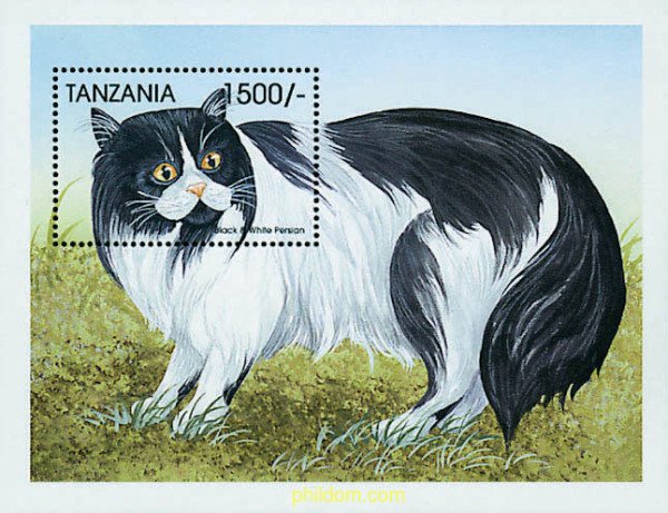 365391 MNH TANZANIA 1999 GATOS DEL MUNDO