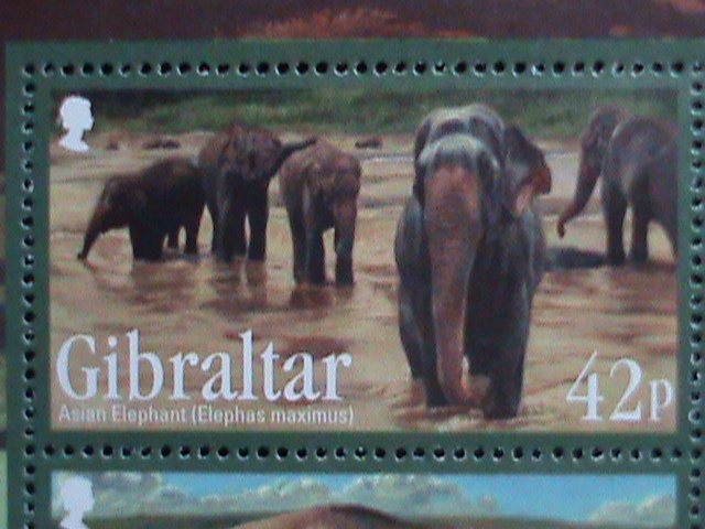 ​GIBRALTAR-2011 ENDANGER ANIMALS MNH S/S EST. $14.00 VF WE SHIP TO WORLD WIDE.