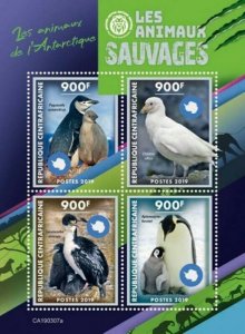 Central Africa - 2019 Antarctic Wild Animals - 4 Stamp Sheet - CA190307a