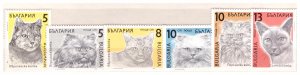 Bulgaria 1989  Cats Definitives 6v MNH