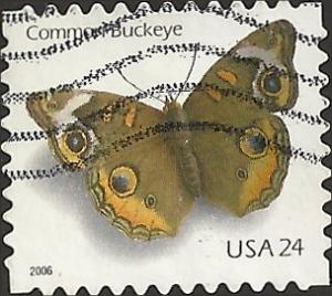 # 4001 USED COMMON BUCKEYE BUTTERFLY