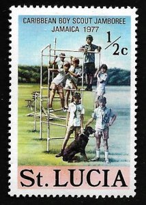 St. Lucia 1977 - MNH - Scott #419