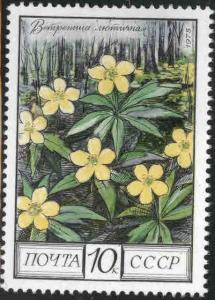 Russia Scott 4396 MNH*** Flower stamp 1978