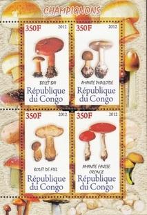 Congo 2012 Mushroom Nature Fungi Plants Champignon Forest M/S Stamps (6) MNH