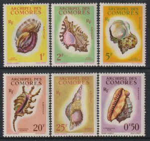 Sc# 48 / 53 Comoro Islands 1962 Sea Shells complete set MLH CV $69.65