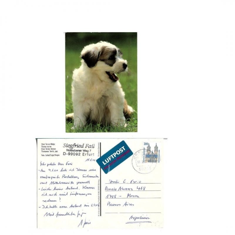 GERMANY CIRCULATED POSTCARD TO BUENOS AIRES ARGENTINA DOGS FAUNA 