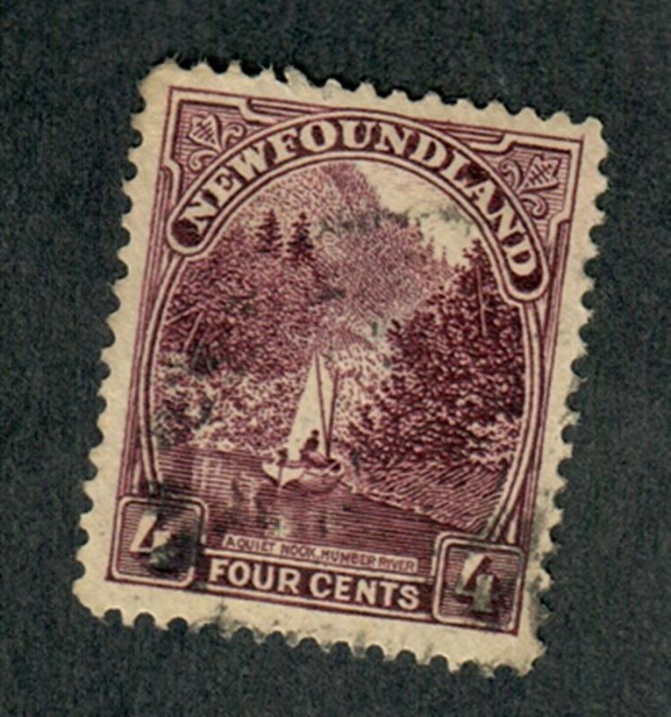 Newfoundland #134 used single