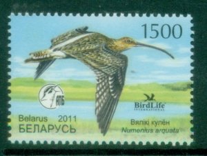 Belarus 2011 Bird of the Year - Eurasian Curlew MUH