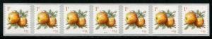 U.S.#5037 Albemarle Pippen Apples 1c PNC Strip of 7 Coil P# P111111, MNH.