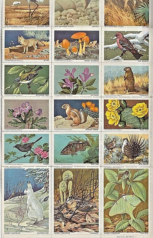 USA Poster stamps: National Wildlife Federation Baby Animal Stamps- ow868