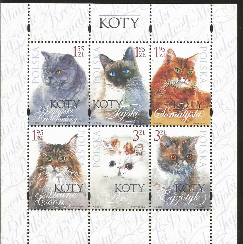 J) 2010 POLAND, CATS, SOUVENIR SHEET, MNH