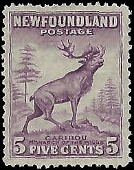 NEWFOUNDLAND   #257 MNH (3)