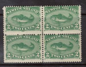 Newfoundland #47 Mint Block