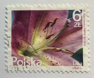 Poland 2016 Scott 4236 used - 60zt,  Fruit & flower, Lily, Lilium sp.