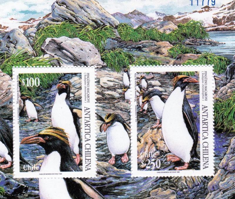 Chile 1995 Chilean Penguins s/s Numbered Perforated Mint (NH)