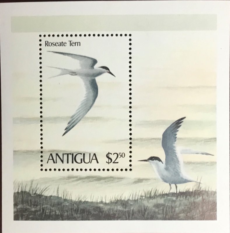 Antigua 1980 Birds Minisheet MNH