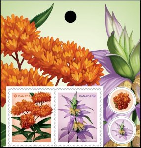 BUTTERFLY MILKWEED, SPOTTED BEEBALM wildflowers = BK pair MNH Canada 2024