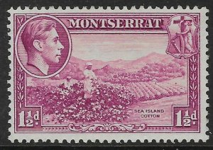 MONTSERRAT SG103 1938 1½d PURPLE p12 MTD MINT