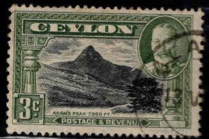 Ceylon Scott 203 Used