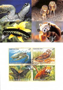 United Nations UN endangered species maximum card no. 55 butterfly owls