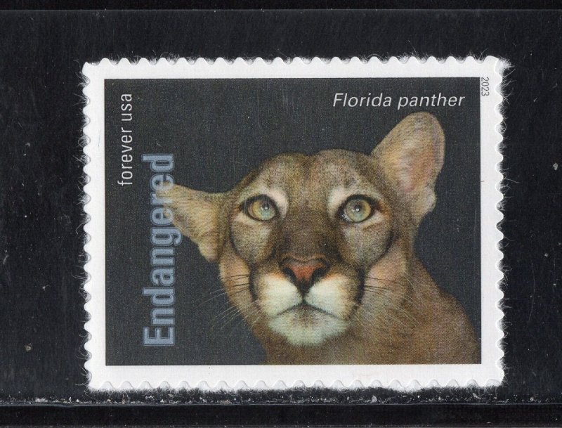 5799F * FLORIDA PANTHER * ENDANGERED SPECIES *   U.S. Postage Stamp MNH