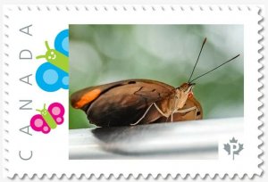 BUTTERFLY Custom/Personalized Postage stamp MNH Canada 2018 [p18-05sn13]