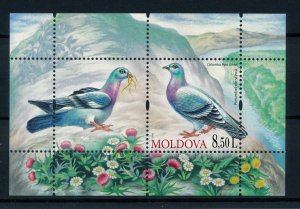 [39610] Moldavia 2010 Birds Oiseaux�Uccelli  Souvenir Sheet MNH