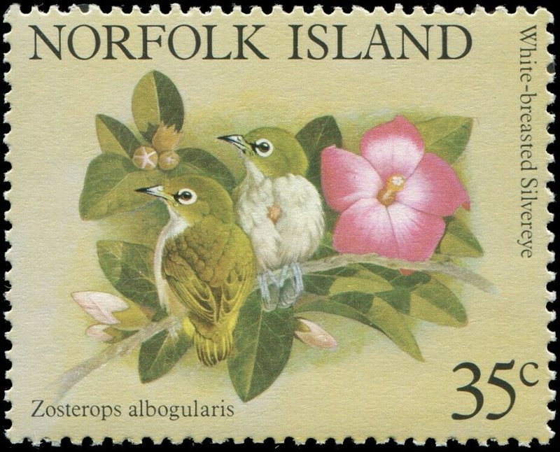 Norfolk Island 1981 Sc 287a-e Birds Whiteye CV $2.50