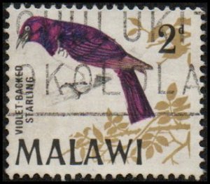 Malawi 96 - Used - 2p Violet-backed Starling (1968)