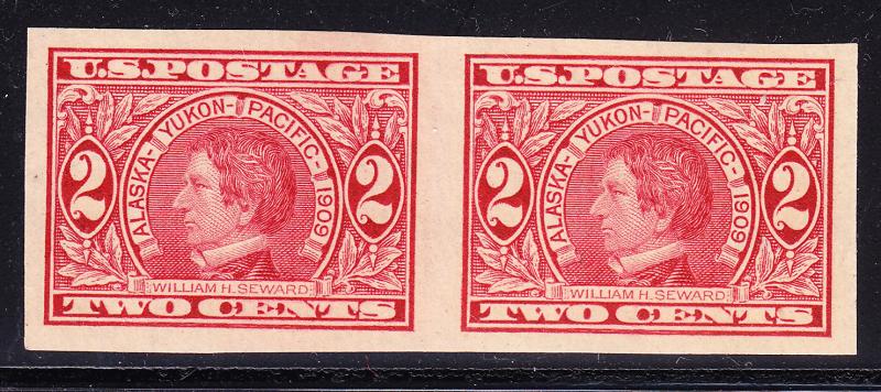 United States 1909 Scott No. 371 William H. Seward IMPERF PAIR VF/XF NH(**)