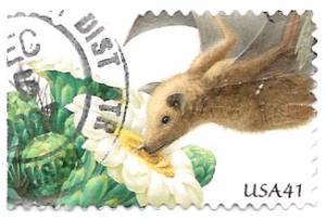 US 4155 (used cr) 41