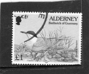 Alderney Birds used