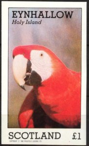 {E040} Eynhallow Scotland Birds (6) Parrots S/S MNH Cinderella !!