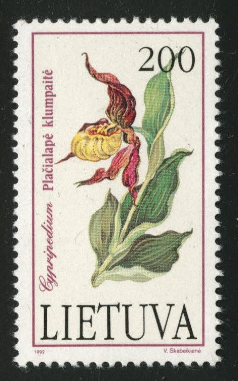 LITHUANIA LIETUVA Scott 425  MH*  flowerl stamp