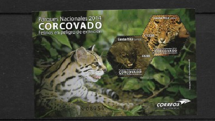 RO) 2014 COSTA RICA,  FELINES IN EXTINCTION DANGER, PUMA YAGOUAROUNDI-PANTHERA