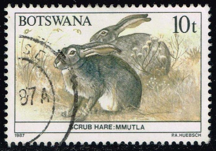 Botswana #411 Scrub Hares; Used (0.25)