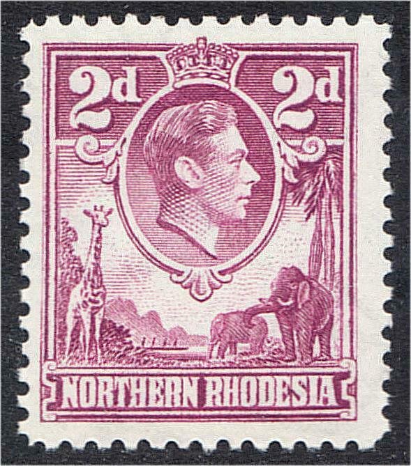 Northern Rhodesia 1951 Giraffe Elephant George VI Definitive Stamp #50 SG 33 MNH