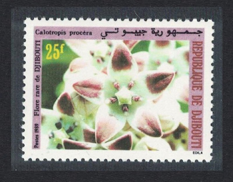 Djibouti Orchid 'Calotropis procera' 1989 MNH SG#1037